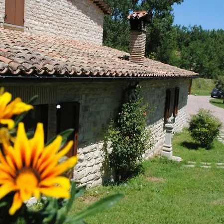Il Bosso