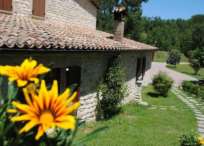 Il Bosso